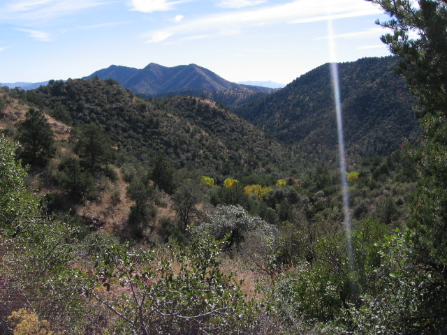 along hl canyon trail 1.JPG